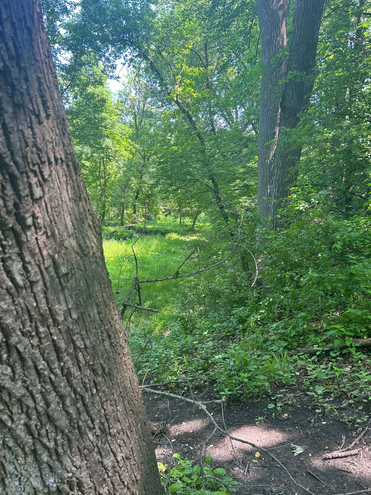 Hole 3