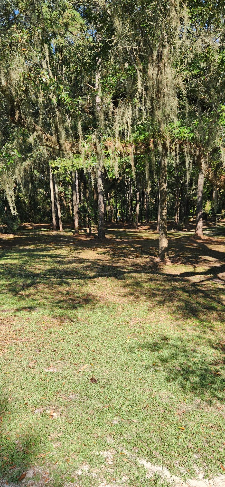 #4 tee pad looking toward the basket