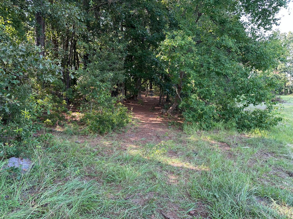 Hole 14 Approach