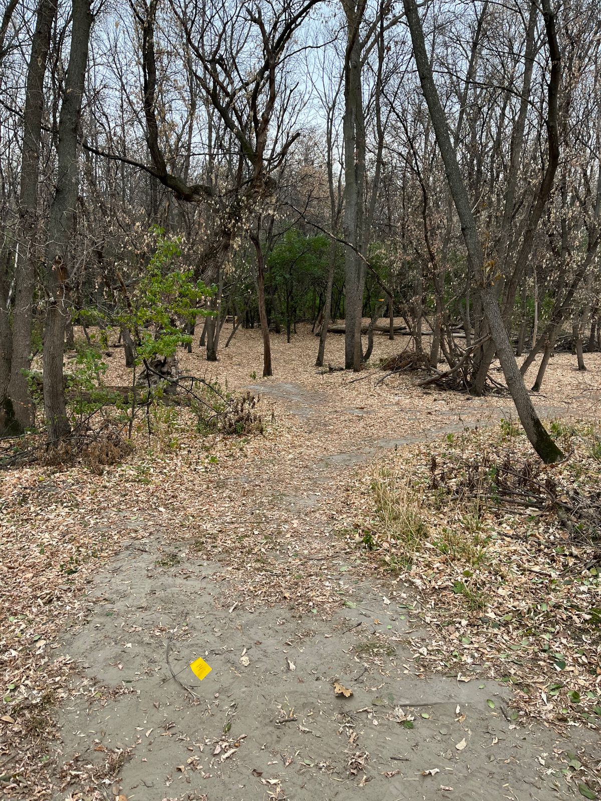 Hole 14 Teepad
