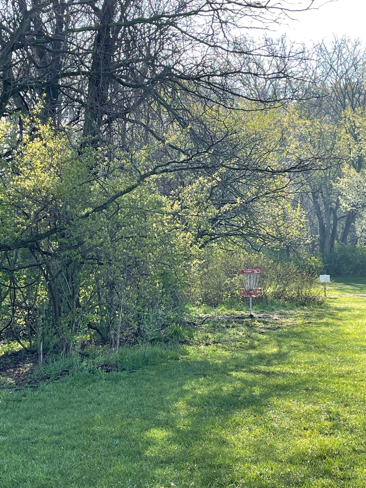 2’s basket on a spring morning