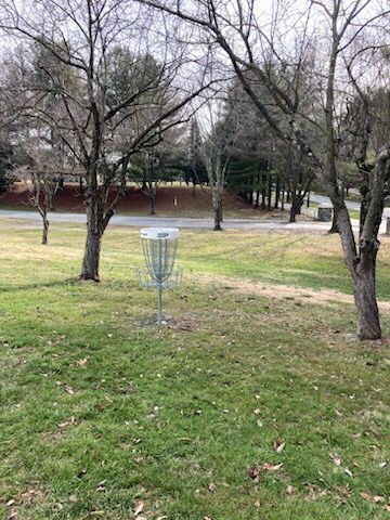 Hole 2 basket