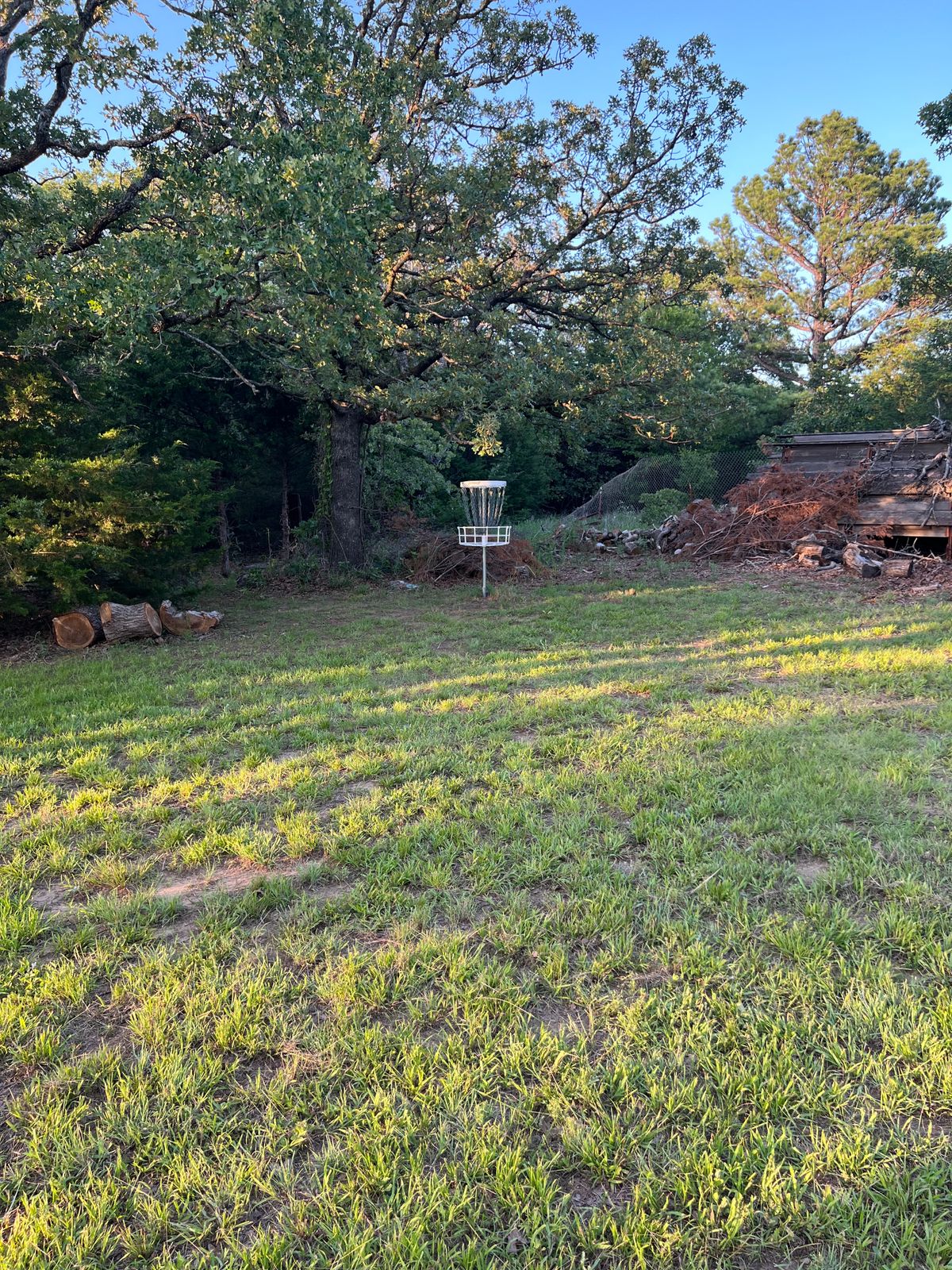 Hole 7s basket