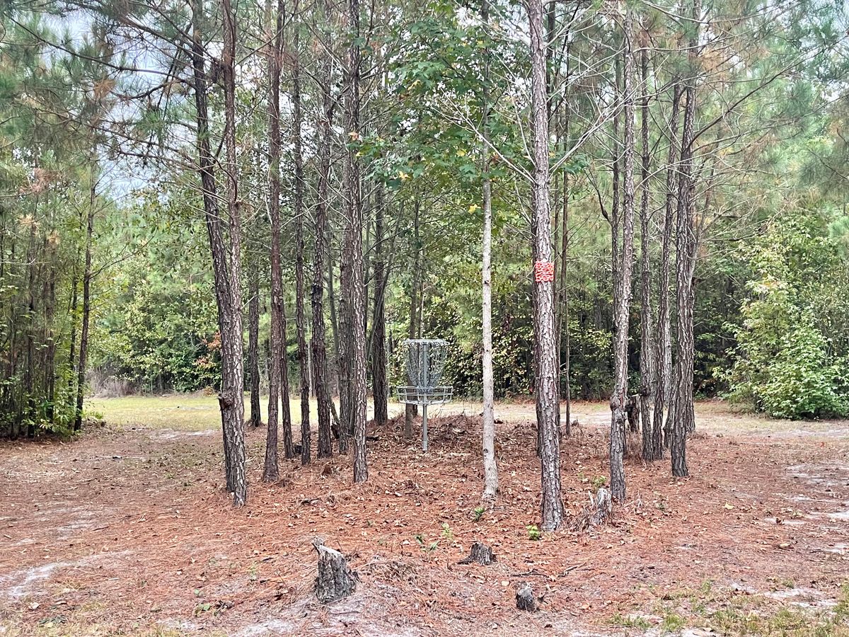 Hole 12 Basket