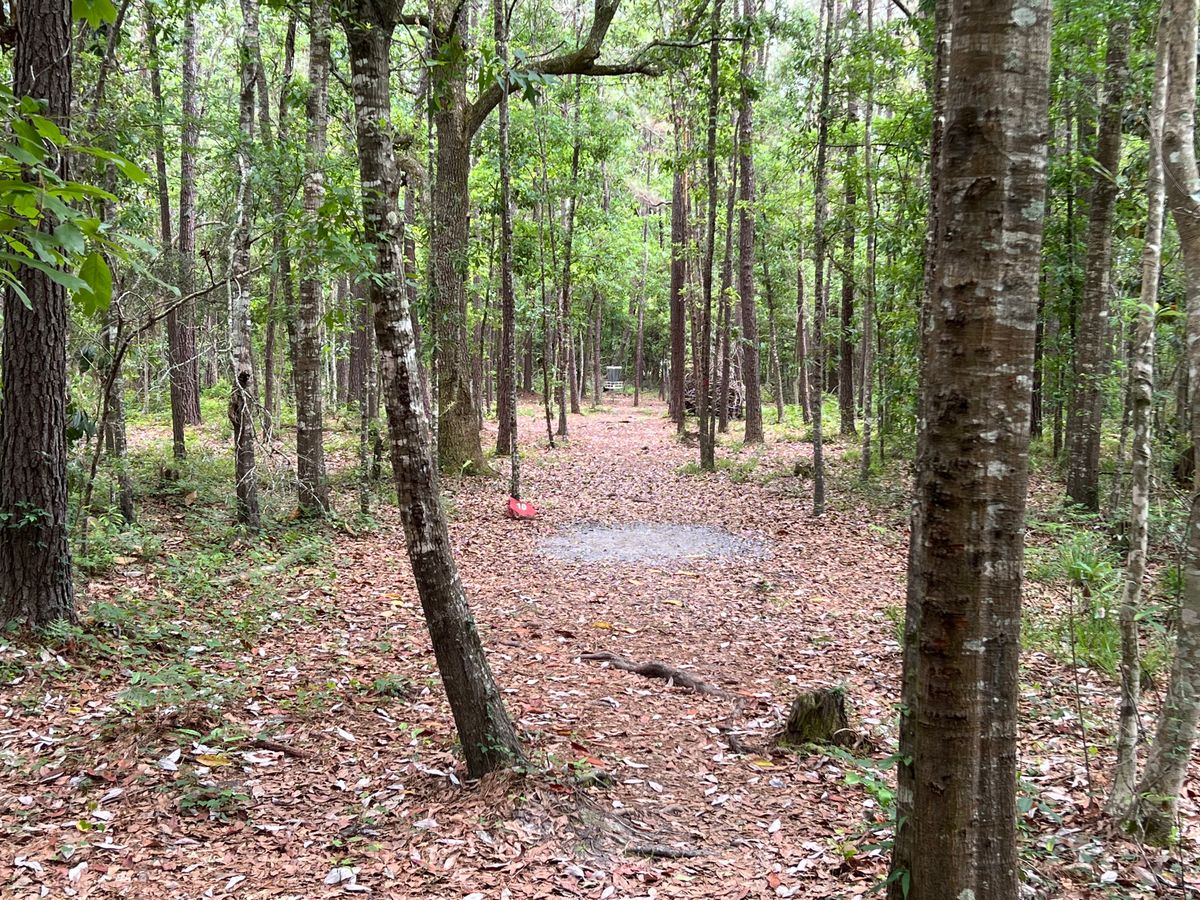 Hole 10 Blue