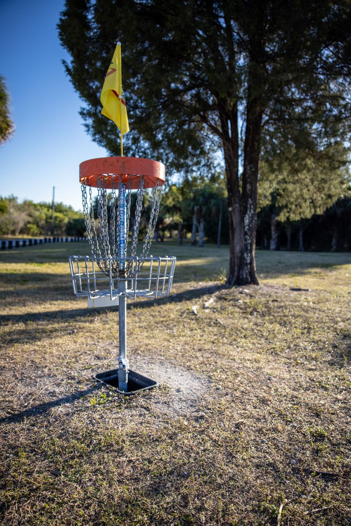 Hole 8 basket.