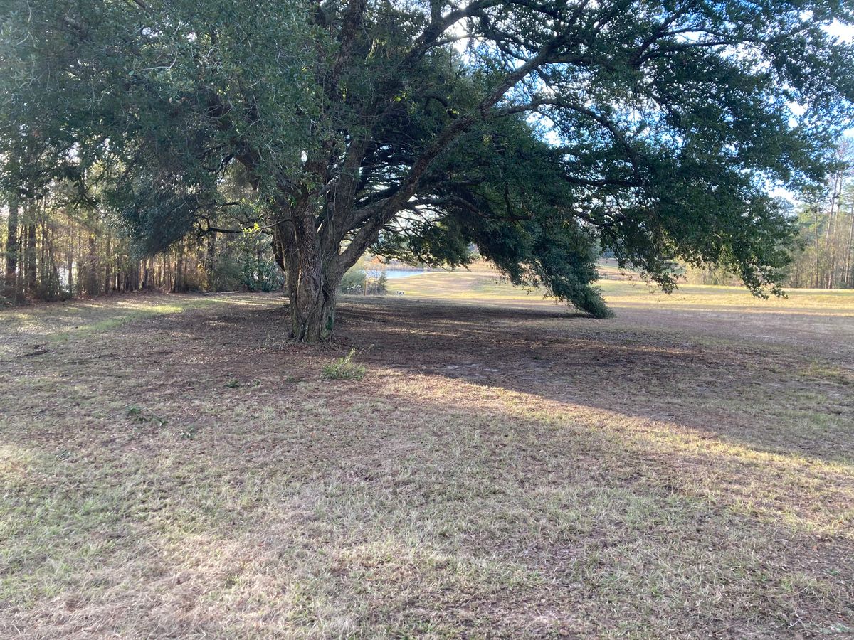 Hole 2