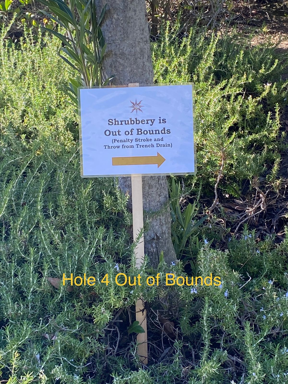Please do not throw from inside the shrubbery, only enter to retrieve discs.