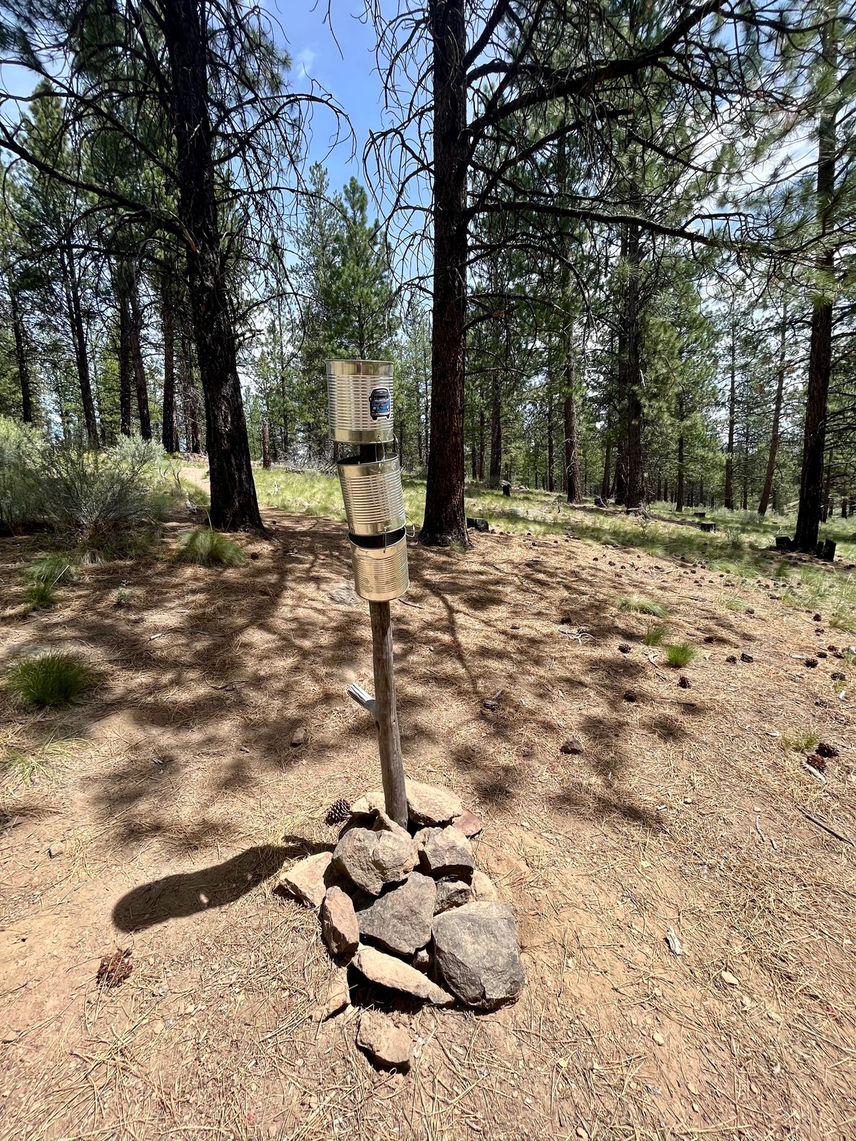 Hole 11