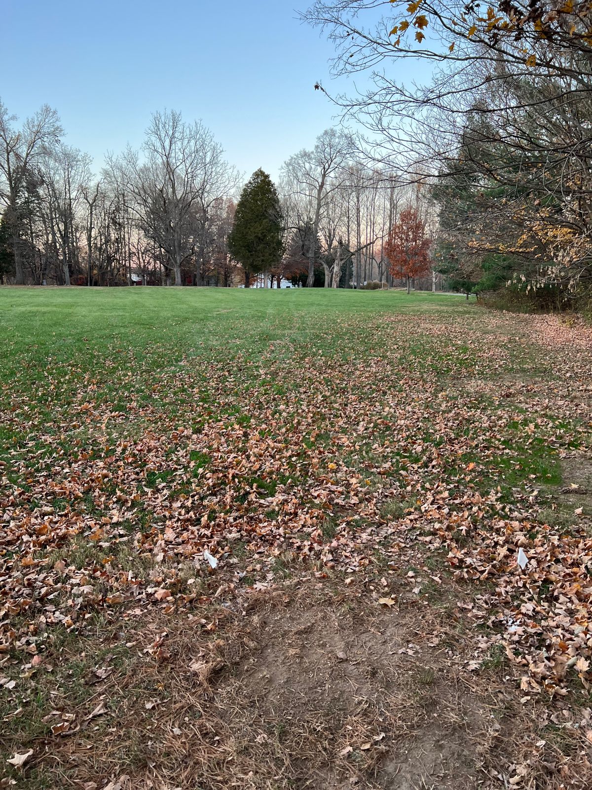 Hole #7
