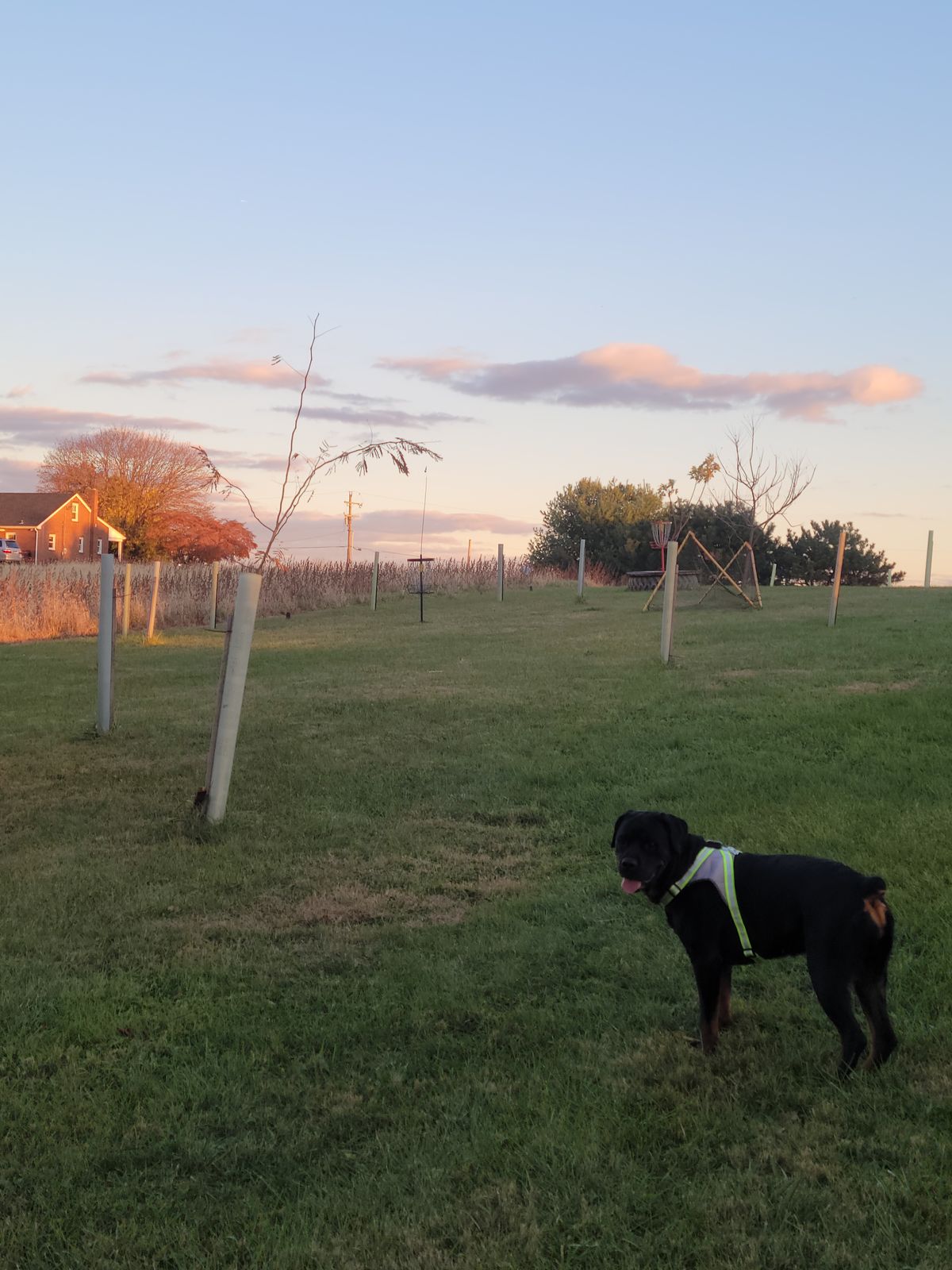 Hole 4 straight shot