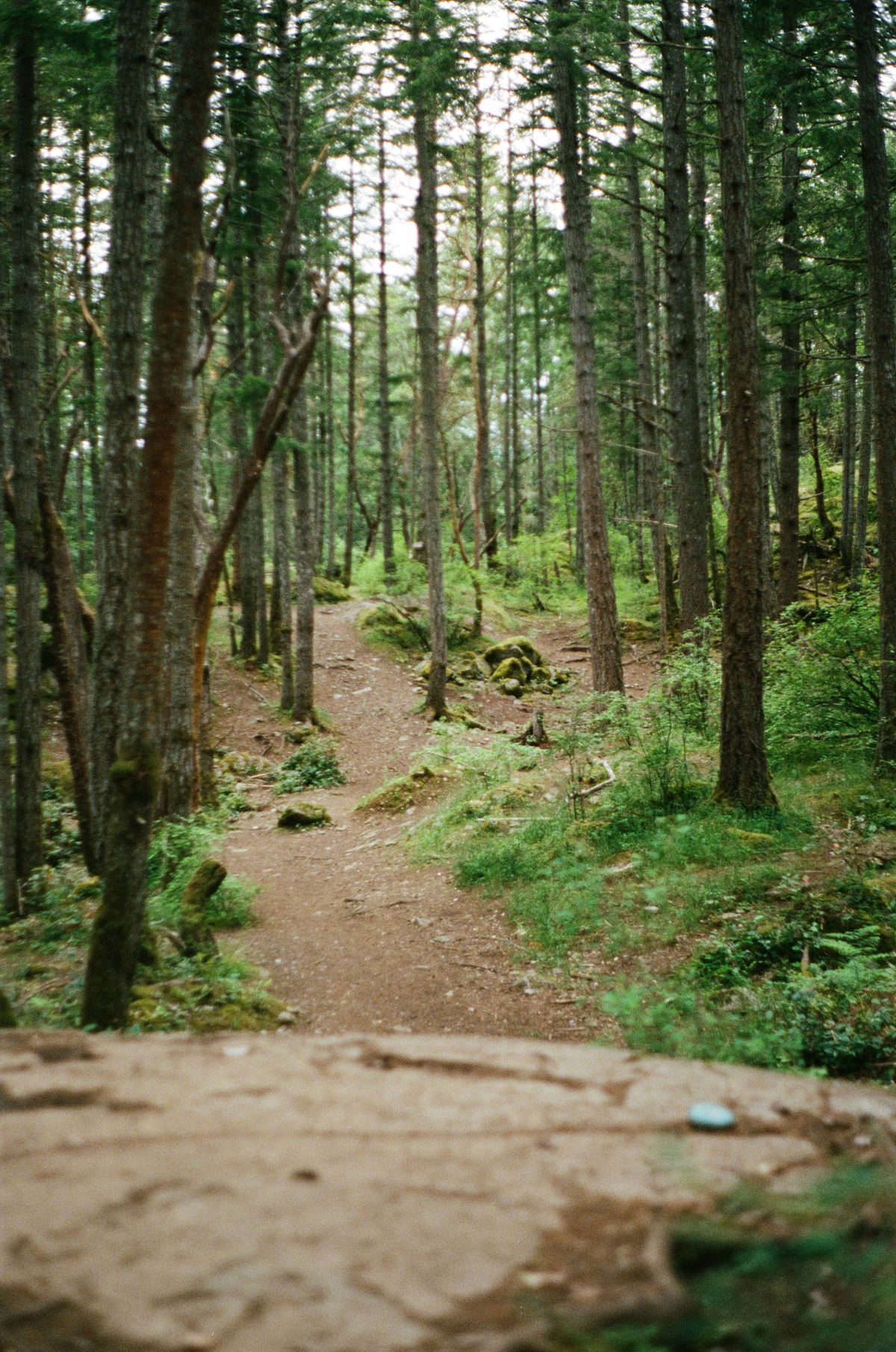 Hole 2
