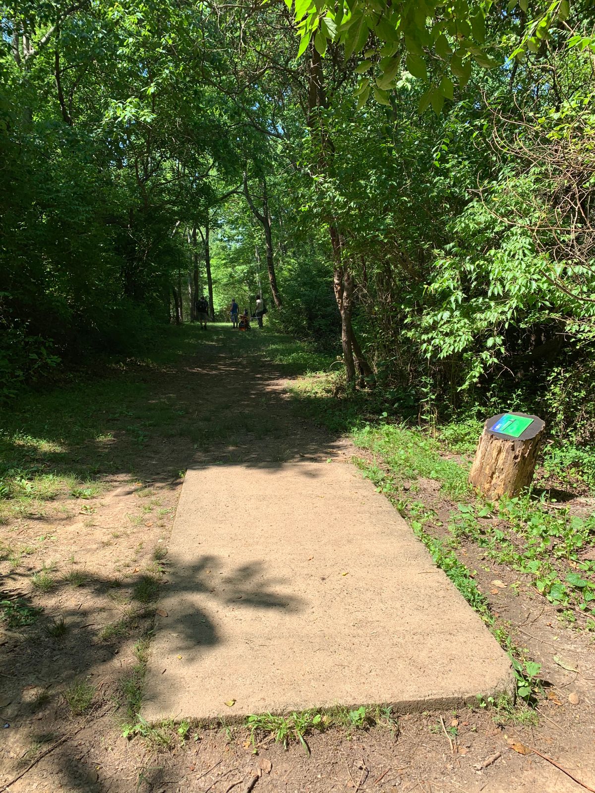 Hole 8