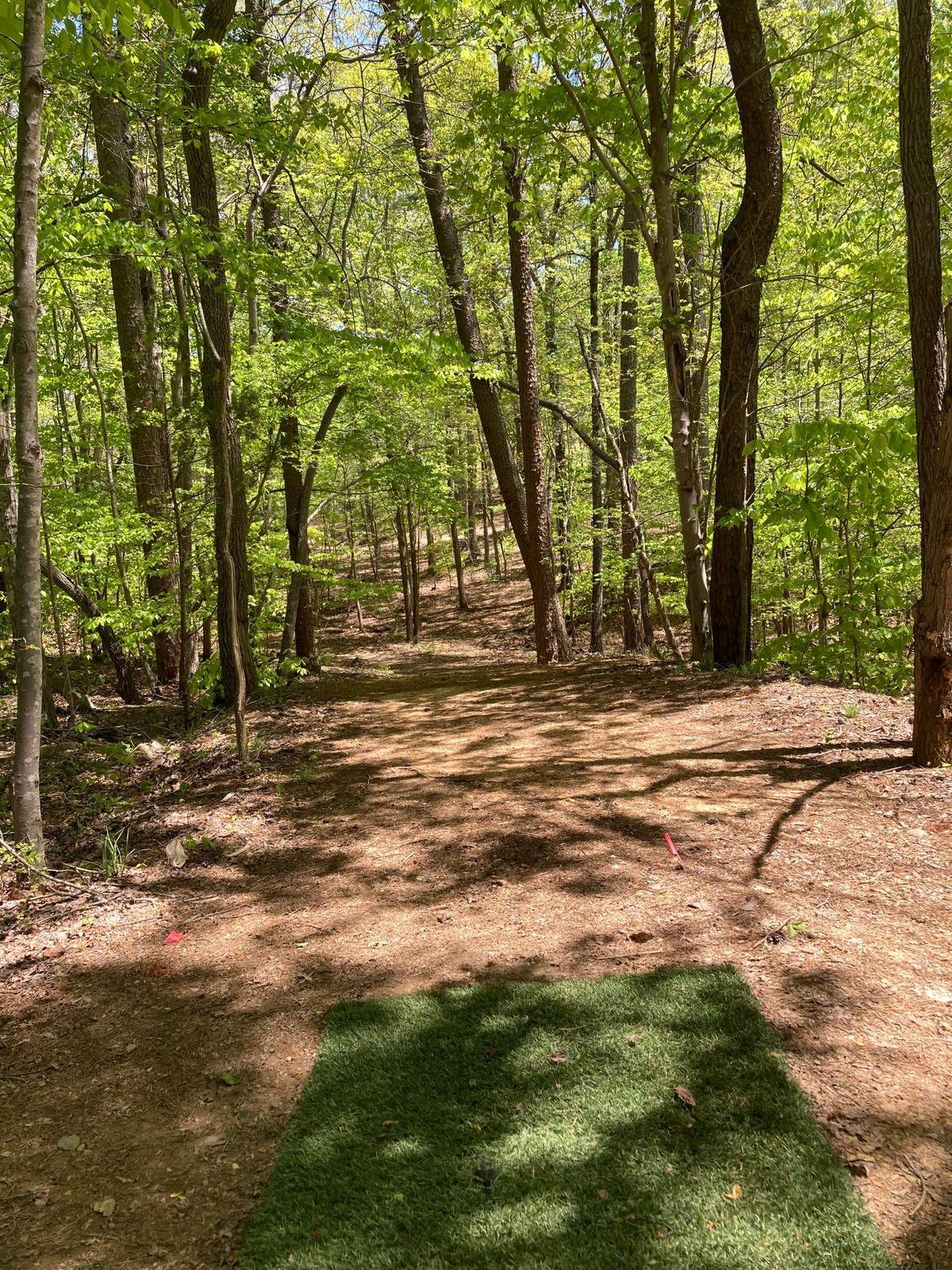 Hole 1 tee pad