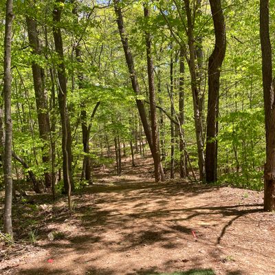 Hole 1 tee pad