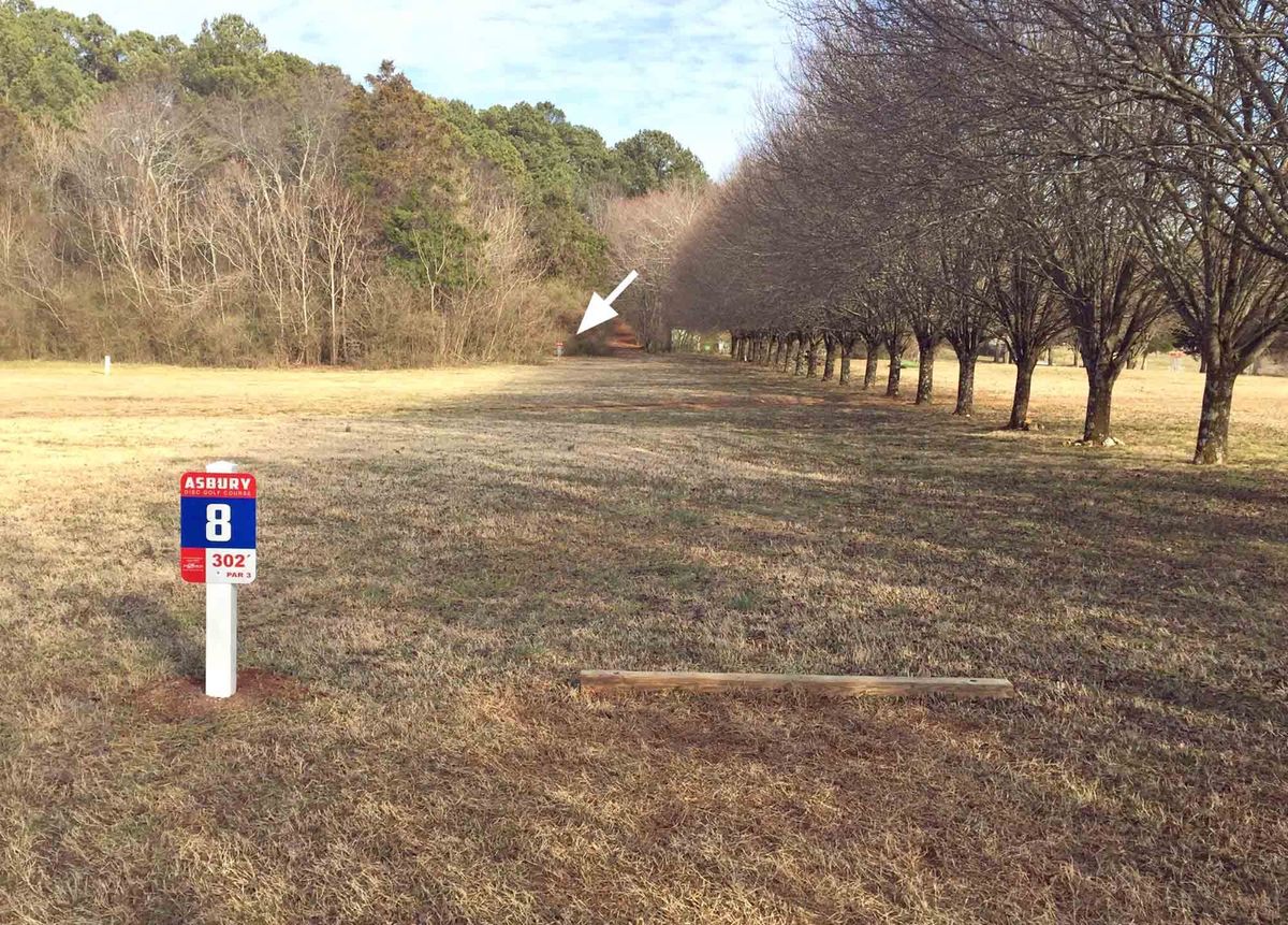 Tee 8