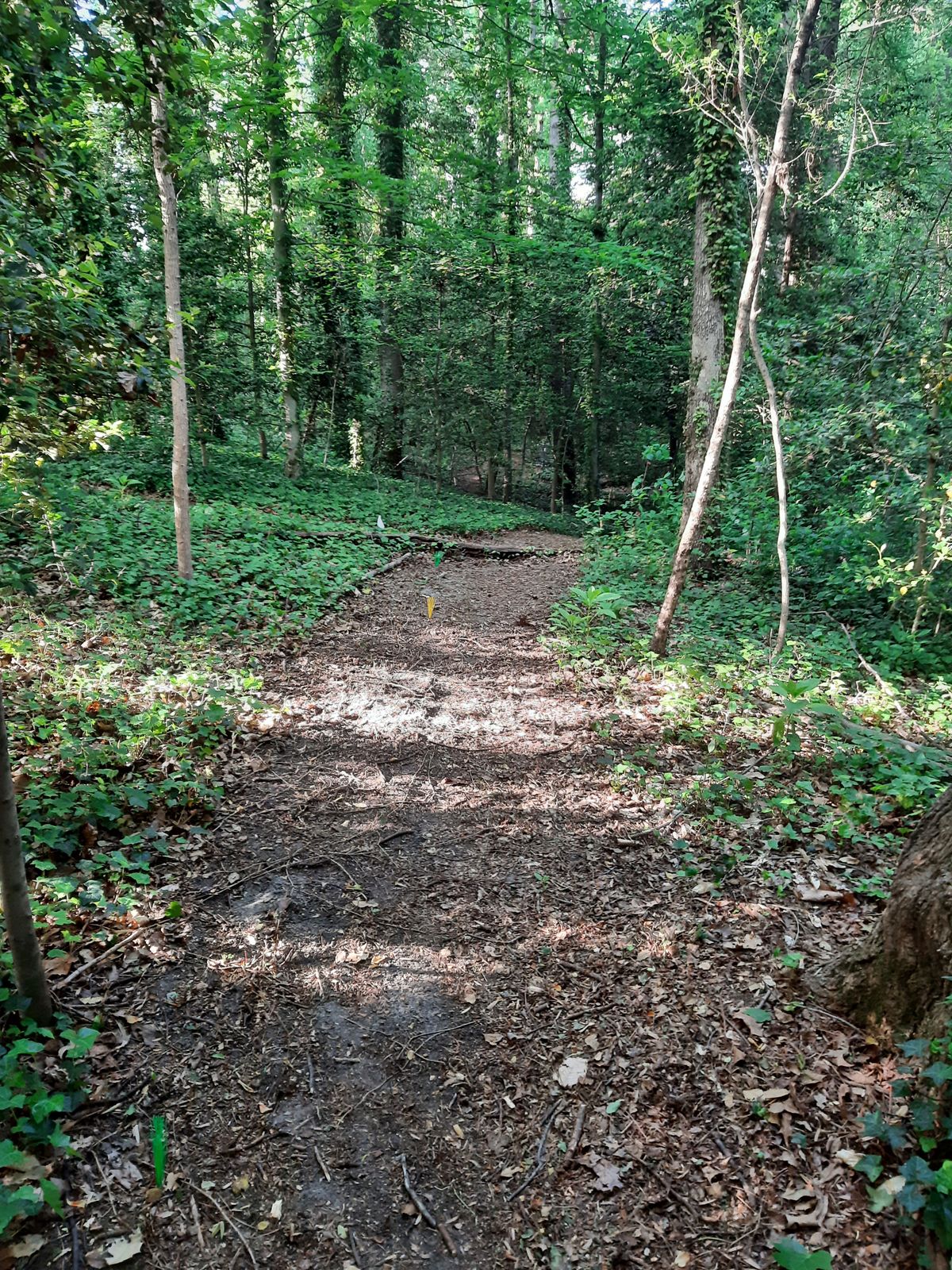 Hole 14 White Tee