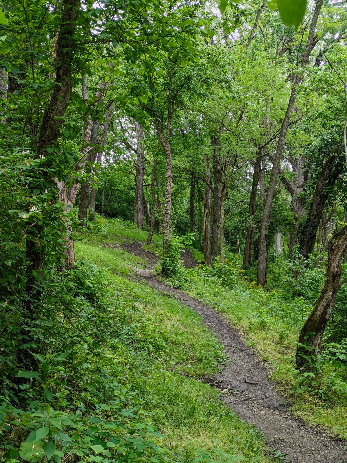 Hole 13