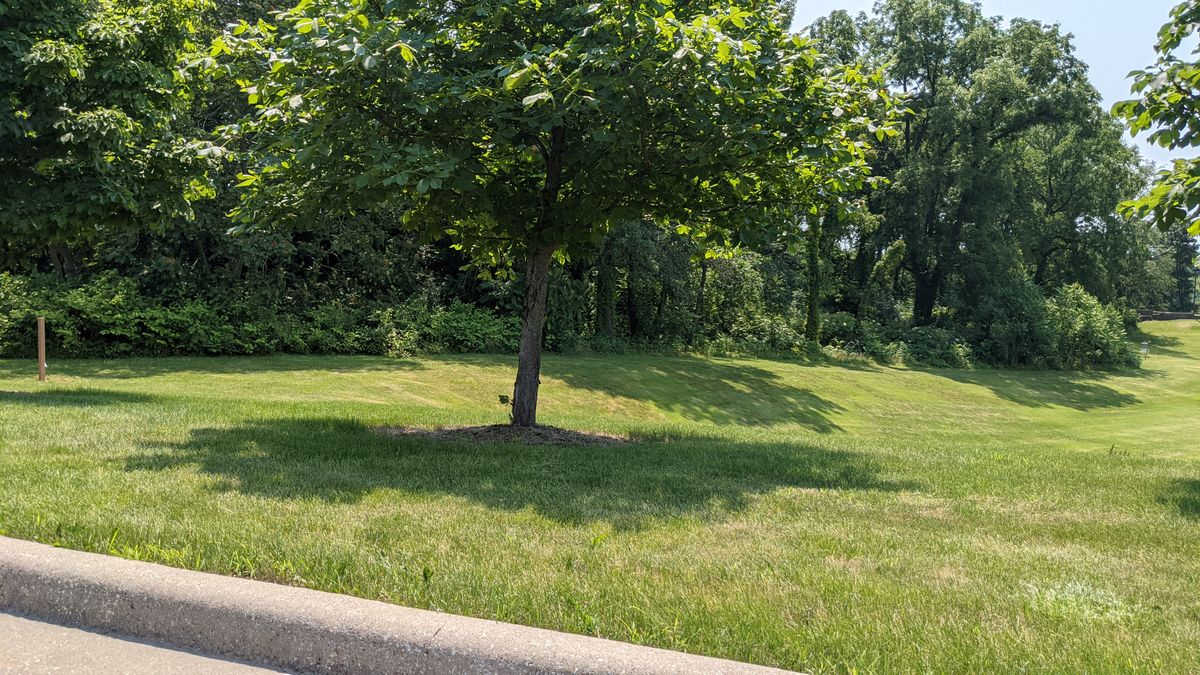 Tee post #2 on the left throwing downhill and around an outcropping of brush to the basket on the right.