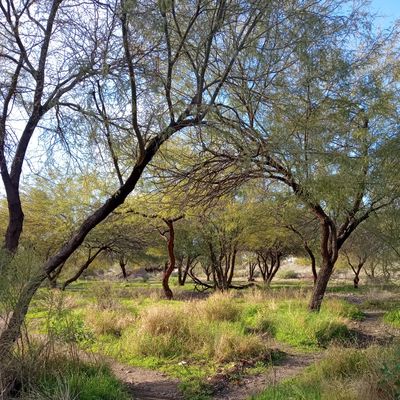 One of many fairways you'll need to navigate out here!