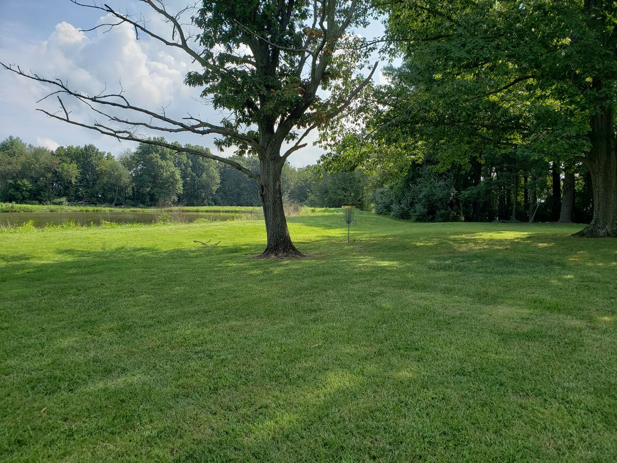 #17 Approach and Green