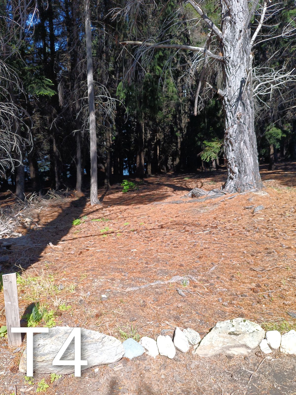 77m throw straight the basket is just down the hill try not to fade left