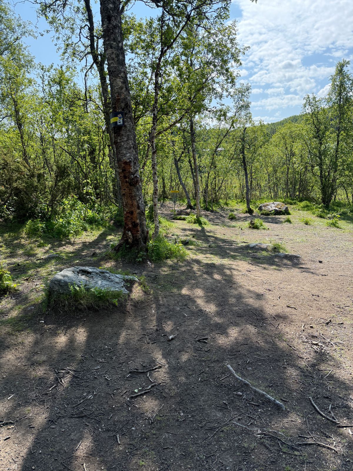 Hole 6 basket