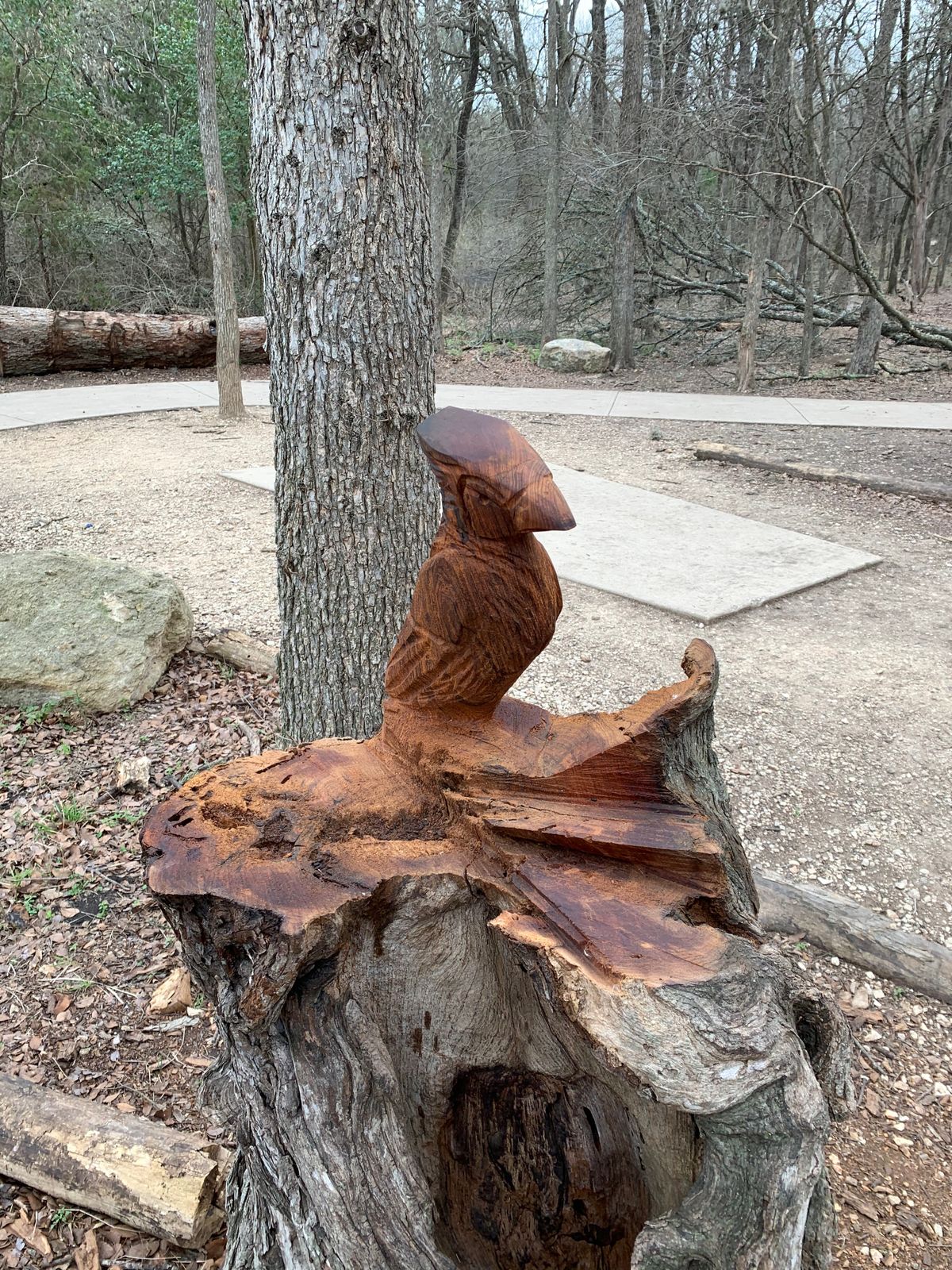 hole 4 short tee