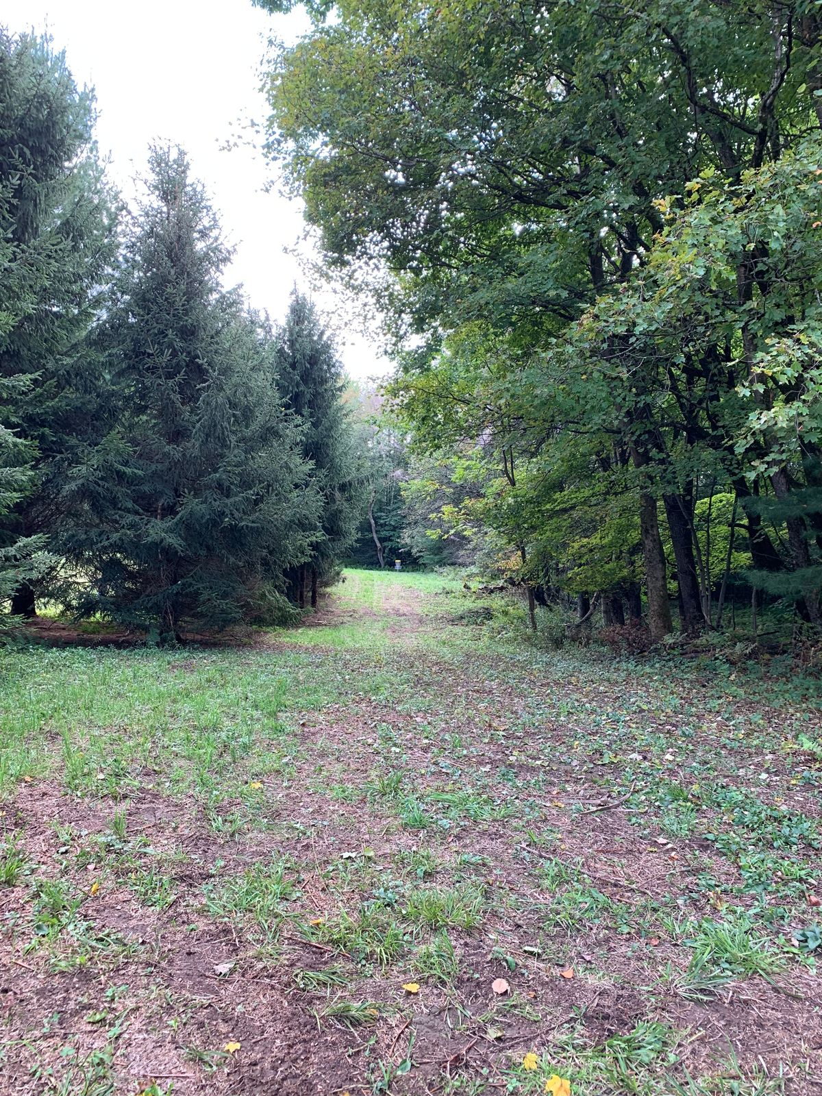 Hole 4