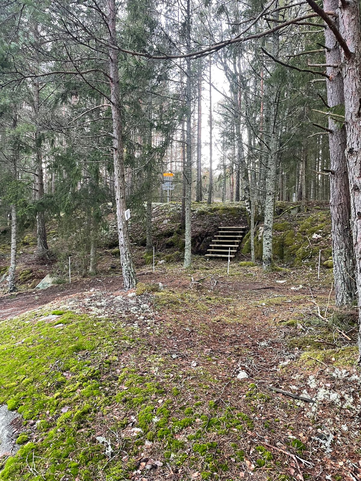 Korg hål 16