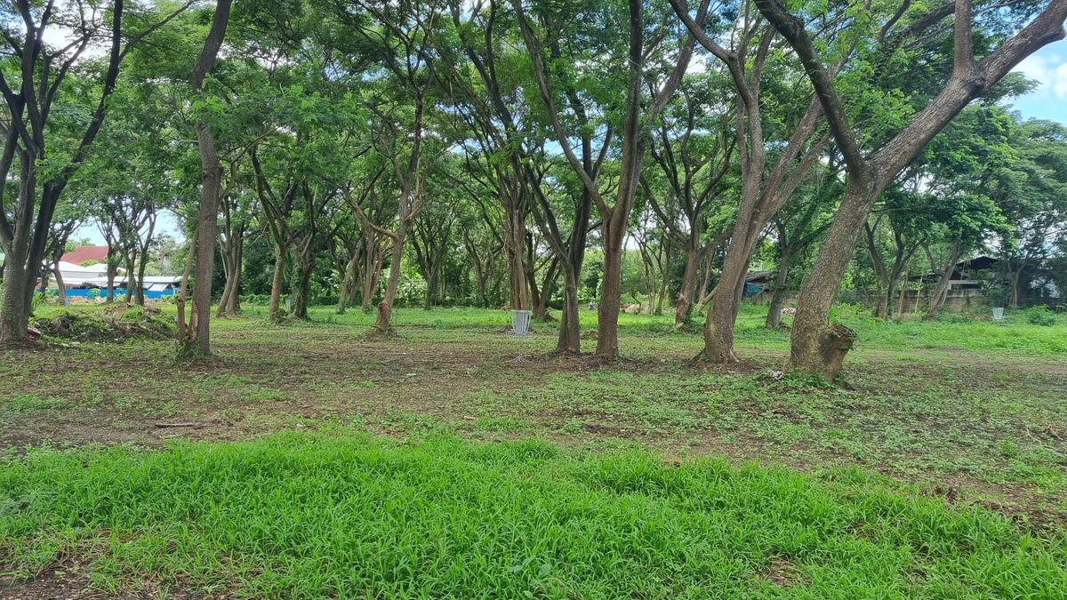 Dog's Head Park