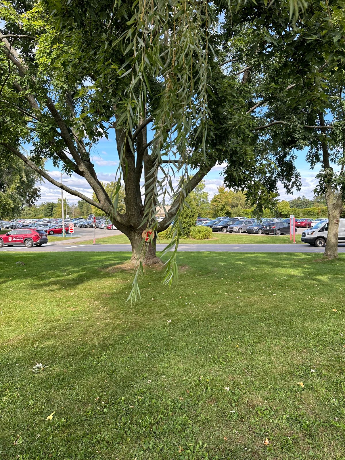 Hole 3