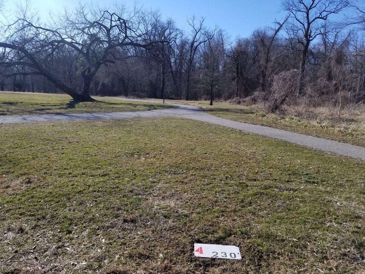 Tee 4
