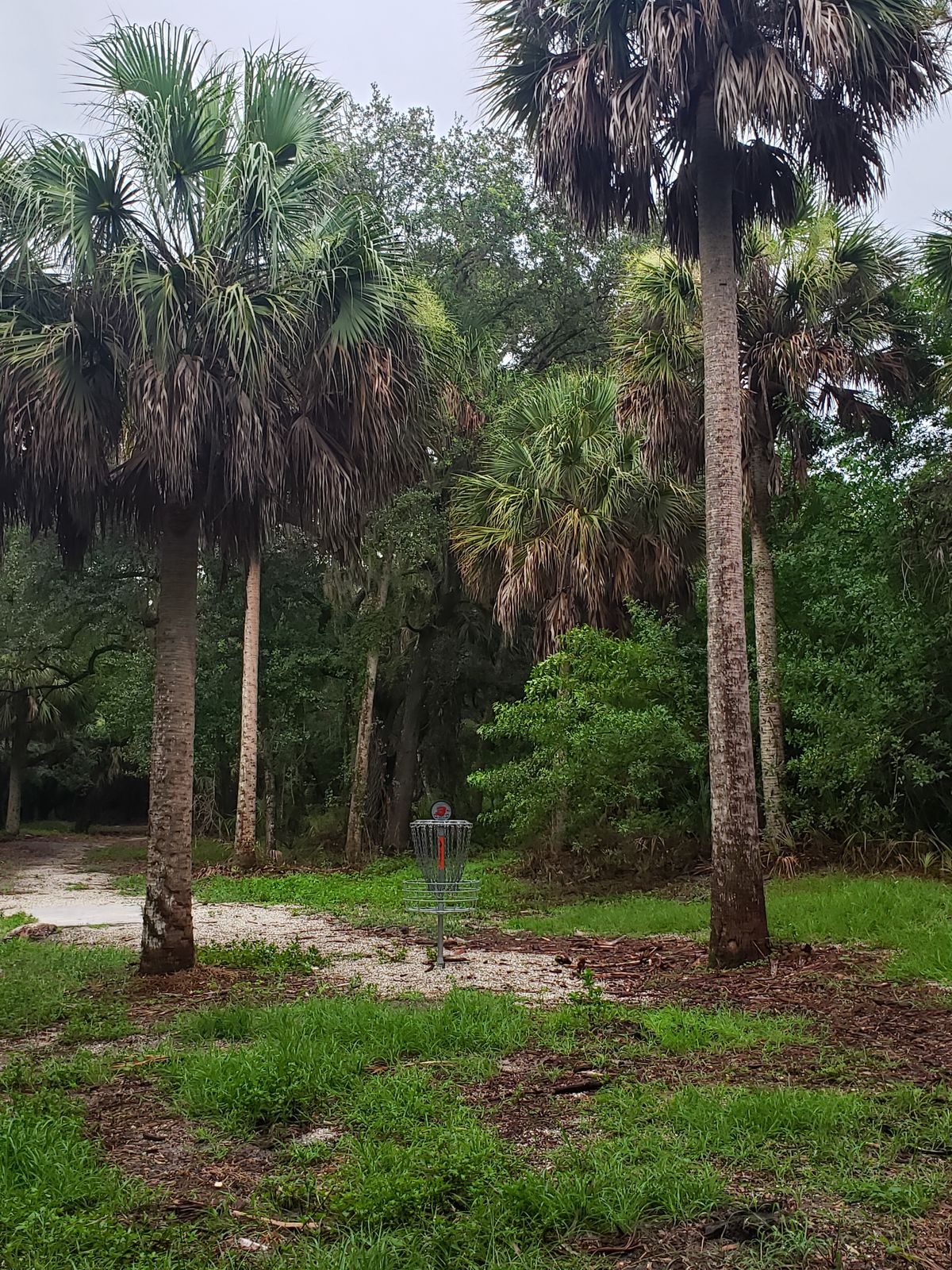 Hole 3 fairway and circle