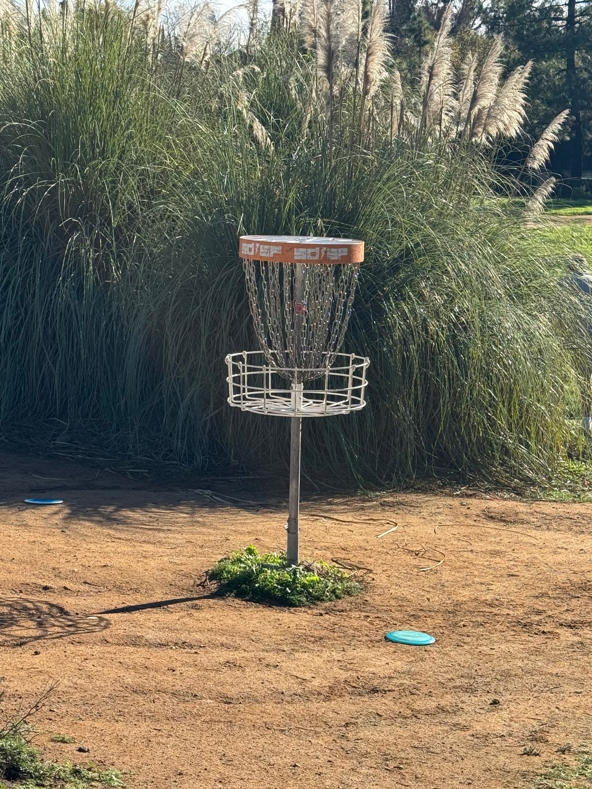 Basket at Hole 1