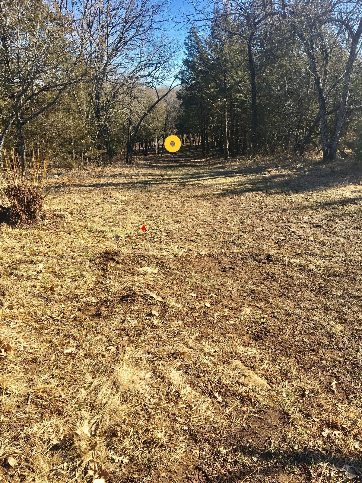 Hole 6 Tee