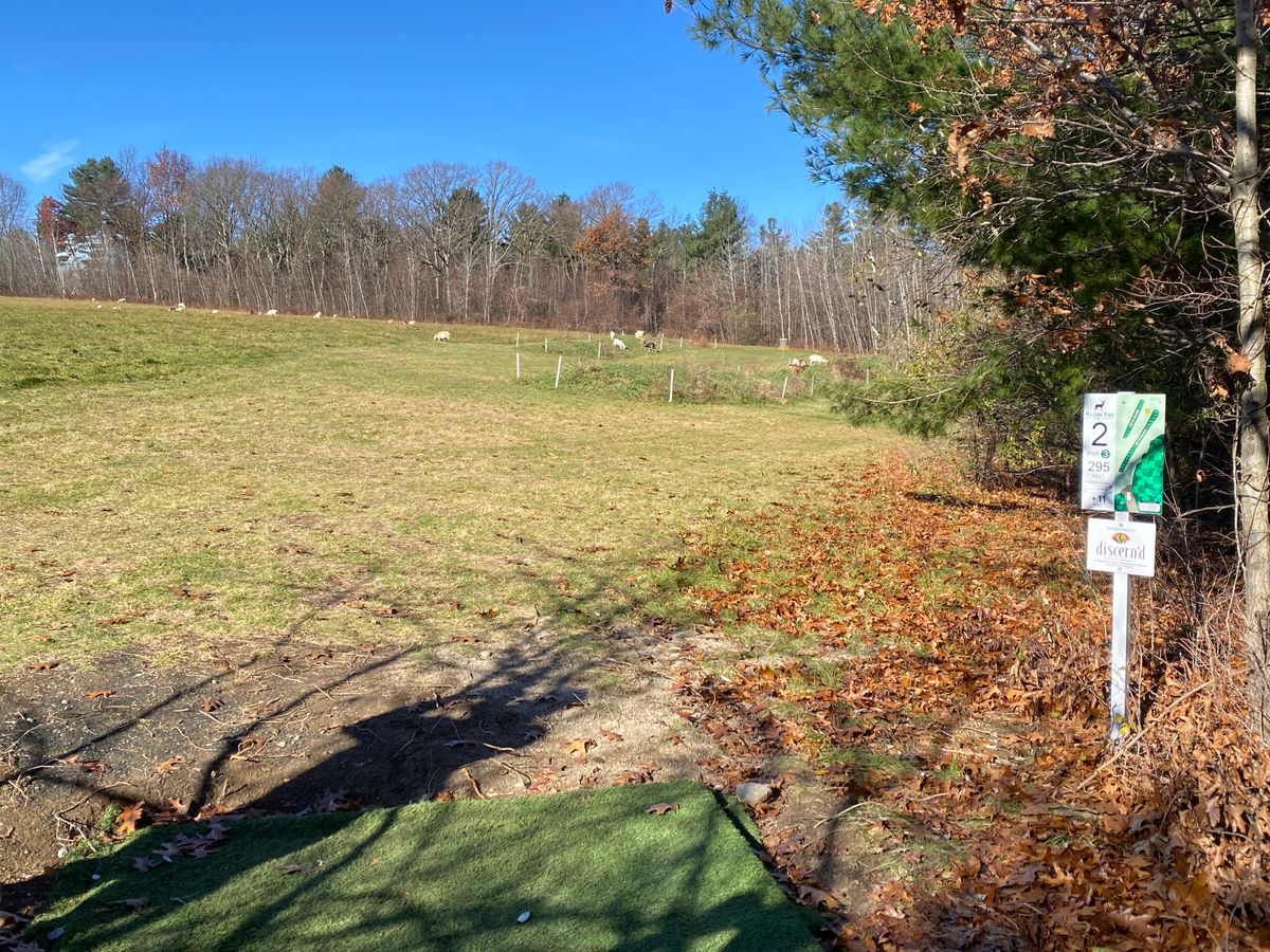 Hole 2 with goats
