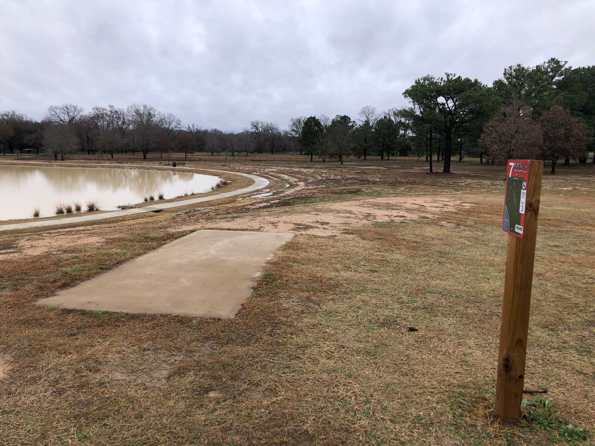 Hole 7