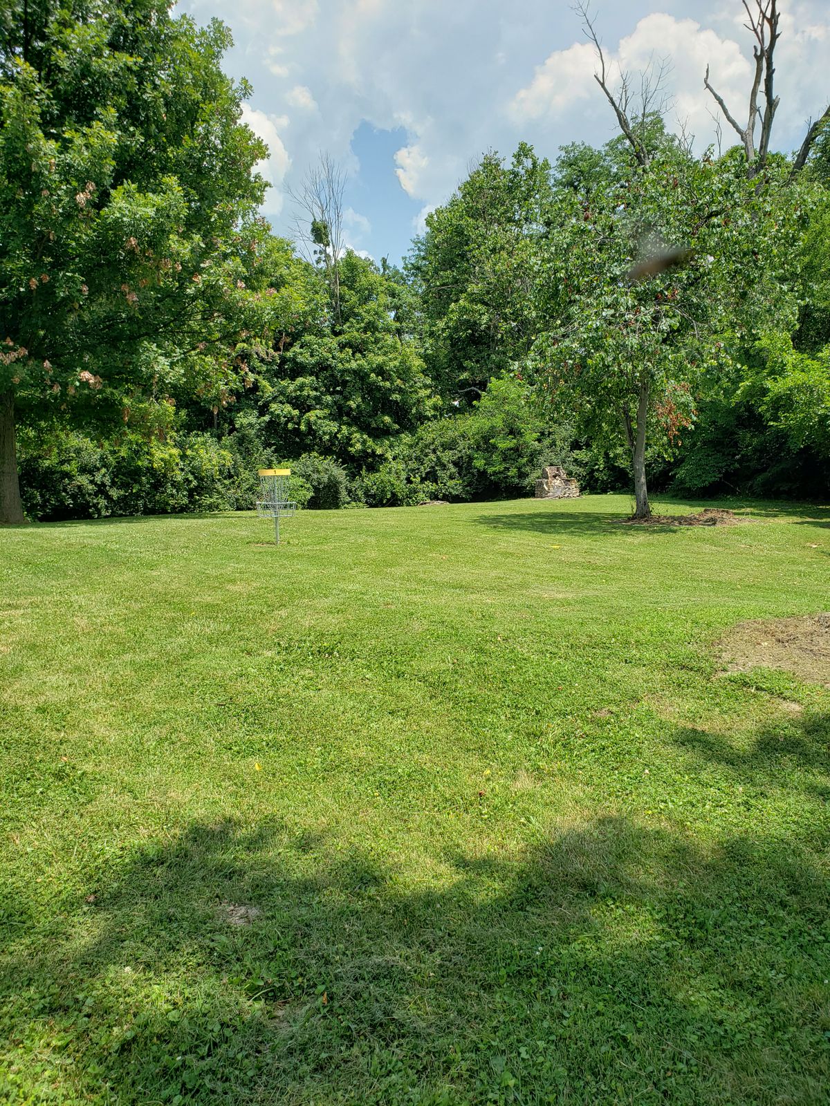 #1 Basket and green area.