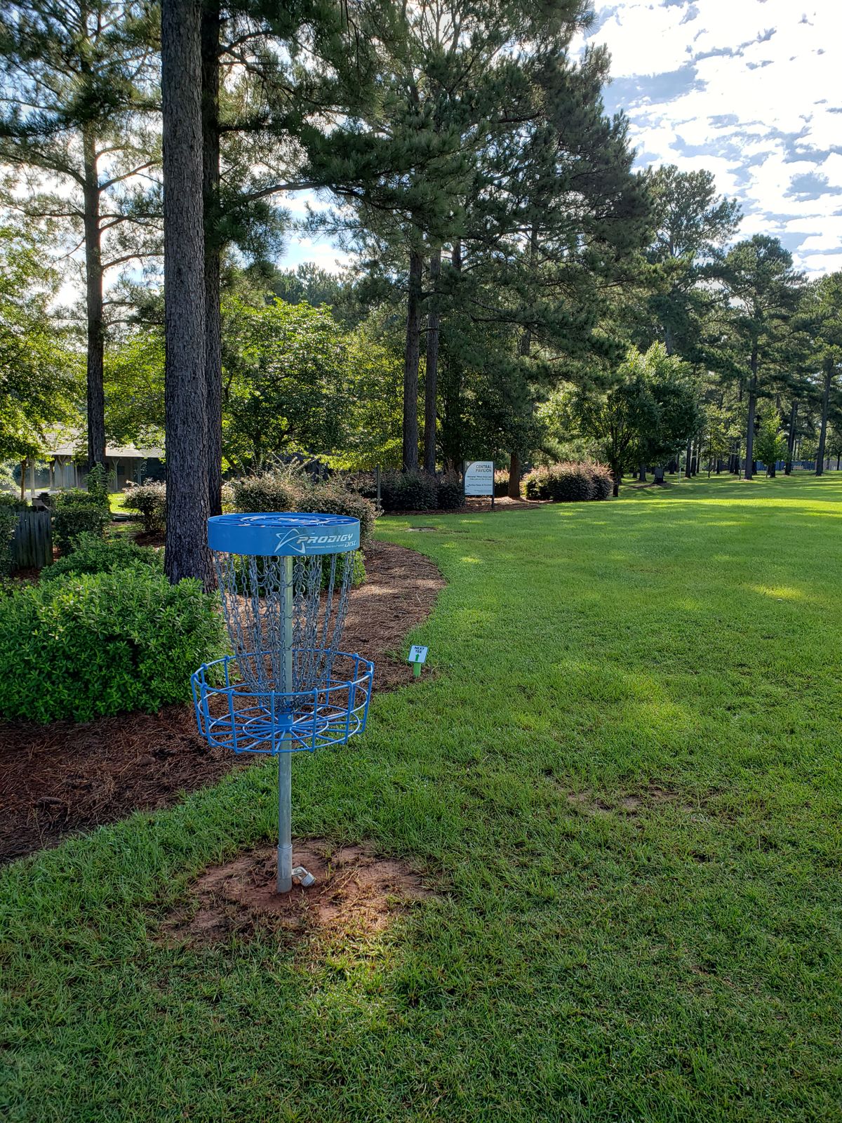 #4 Blue Basket