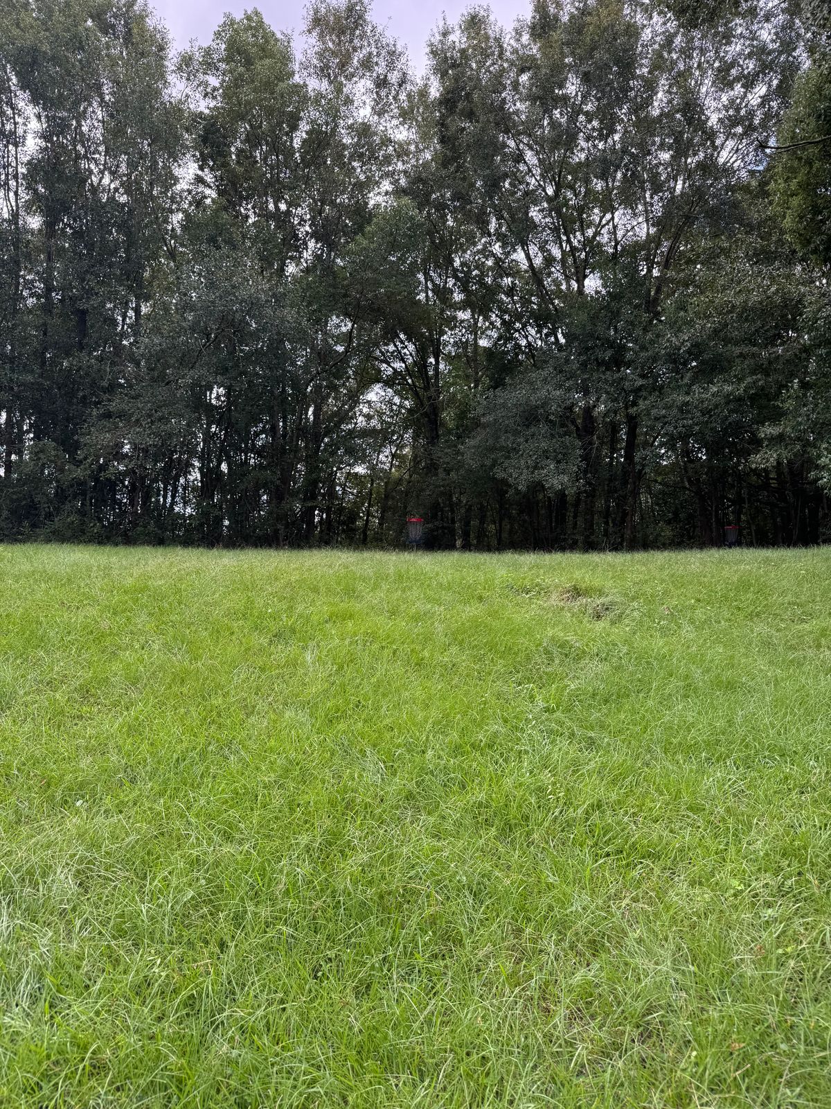 Hole 10 approaching basket (uphill)