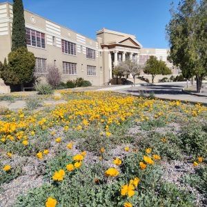 Bullion Plaza Museum. Park along the driveway.
