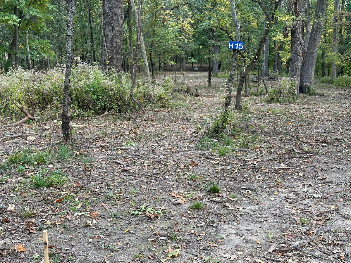 Hole 15 Tee