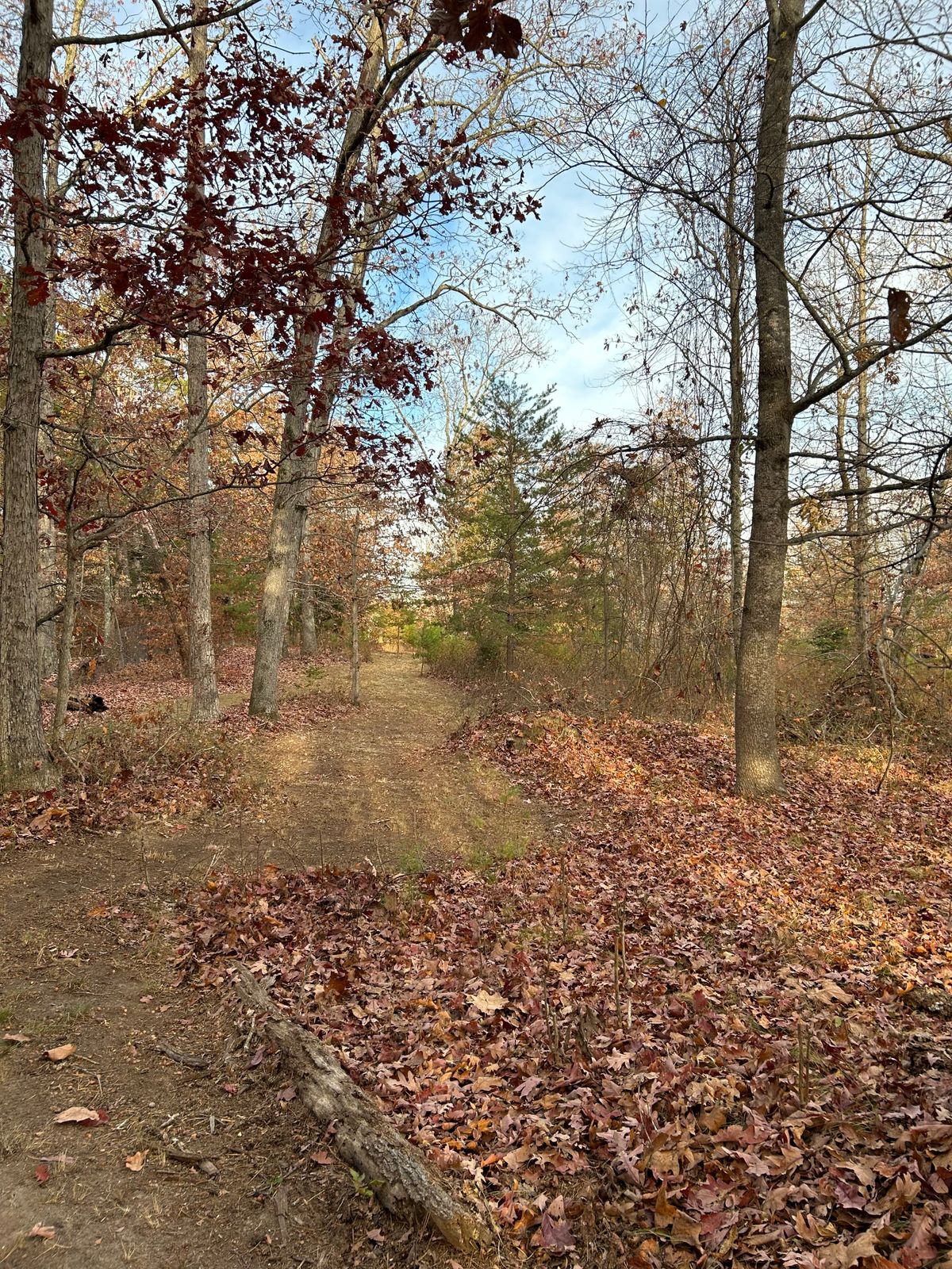 Hole 16