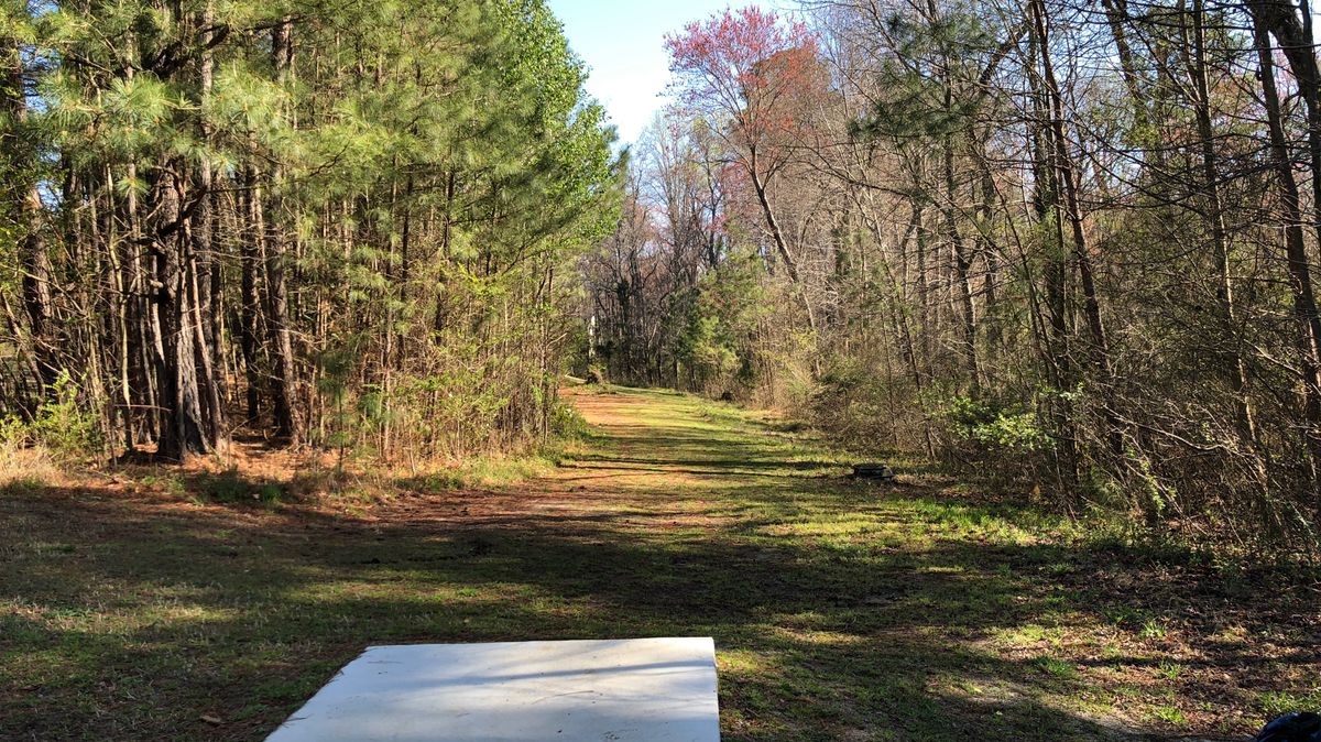 Hole 14