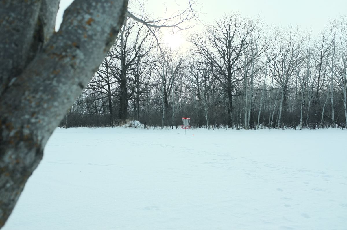 Hole 4 Basket