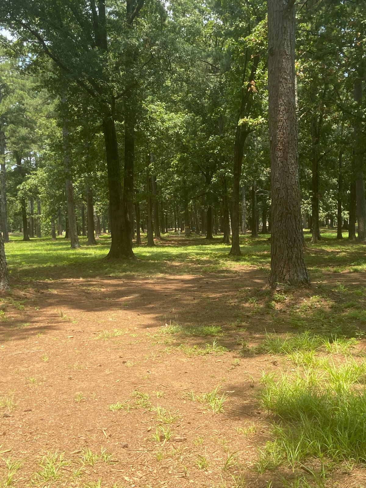 Hole 5 fairway