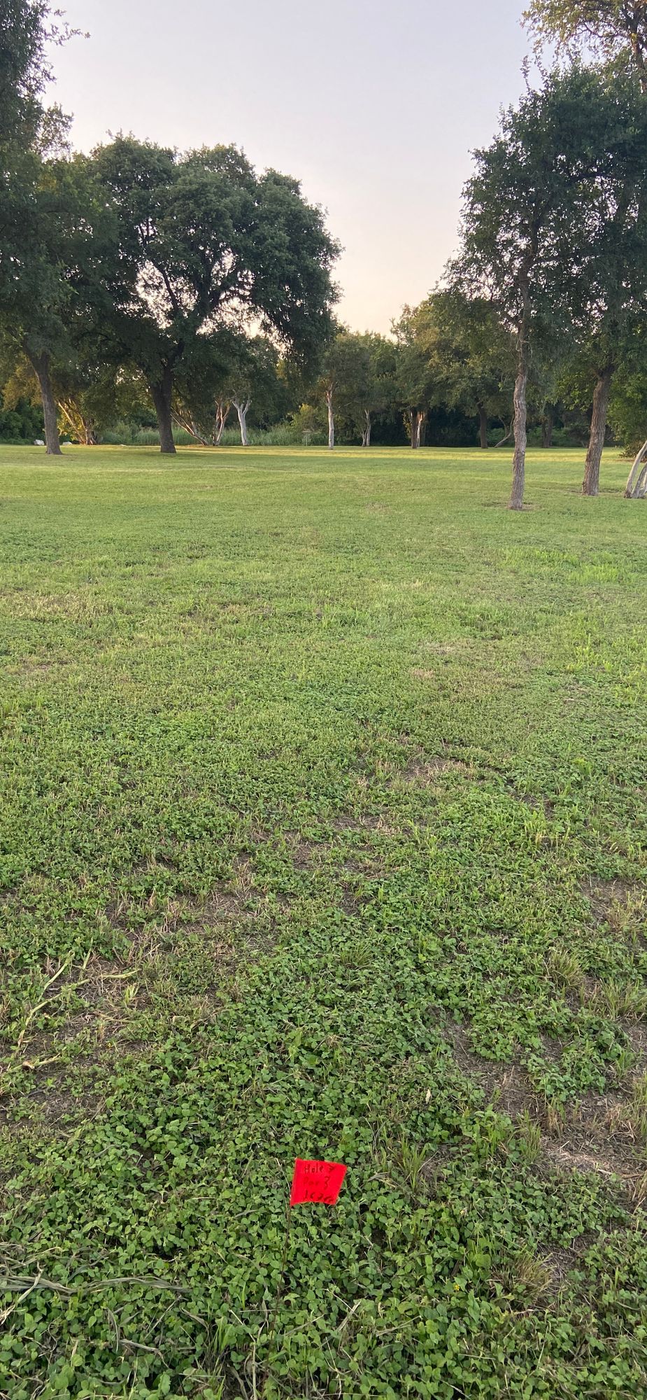 Hole 6 tee