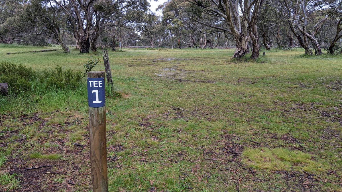 First hole through the snow gums
