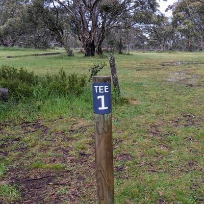 First hole through the snow gums
